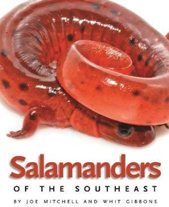 Salamanders of the Southeast