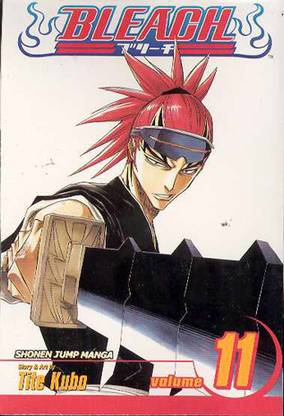 Bleach, Vol. 11