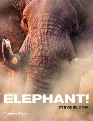 Elephant!