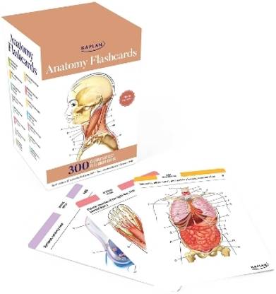 Anatomy Flashcards: 300 Flashcards with Anatomically Precise Drawings and Exhaustive Descriptions