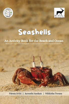 Seashells  - An Activity Book for the Beach and Ocean
