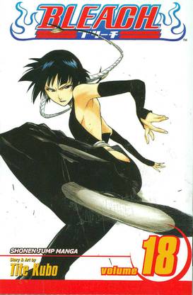 Bleach, Vol. 18