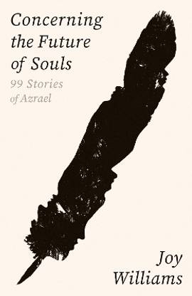 Concerning the Future of Souls