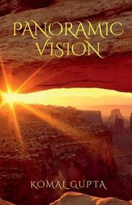 Panoramic Vision