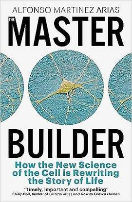 The Master Builder