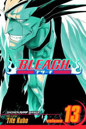 Bleach, Vol. 13