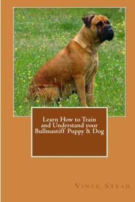 Learn How to Train and Understand Your Bullmastiff Puppy & Dog