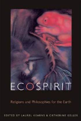 Ecospirit  - Statistical Methods and Procedures