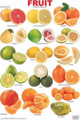 Pre-School fruit chart: Book 3  - Fruit Chart - 3 Educational Wall Chart For Kids - Both Side Hard Laminated (Size 48 x 73 cm) |Pre School Chart| Dreamland Publications