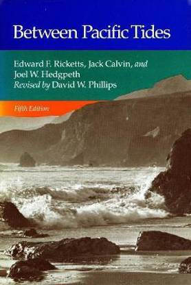 Between Pacific Tides