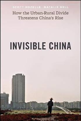 Invisible China