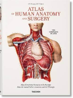 Bourgery. Atlas of Human Anatomy and Surgery