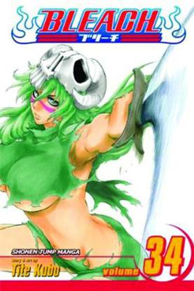 Bleach, Vol. 34: Volume 34