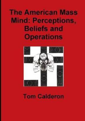 The American Mass Mind: Perceptions, Beliefs and Operations