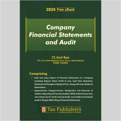 Company Financial Statements and Audit - 2024