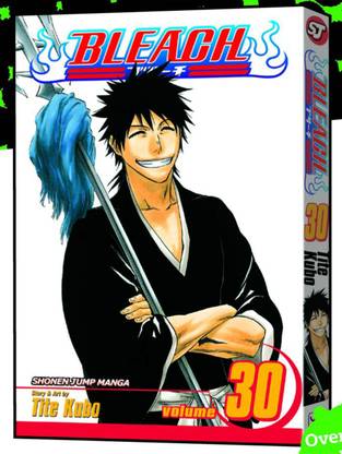 Bleach, Vol. 30: Volume 30