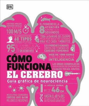 CA (3)mo funciona el cerebro (How the Brain Works)