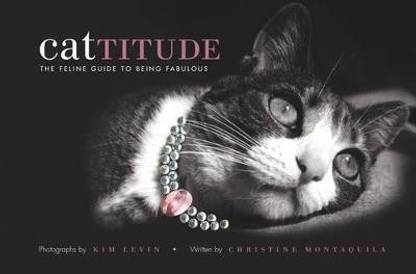 Cattitude