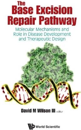 Base Excision Repair Pathway, The: Molecular Mechanisms And Role In Disease Development And Therapeutic Design