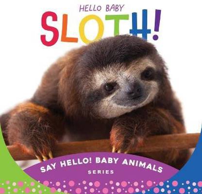 Hello Baby Sloth!