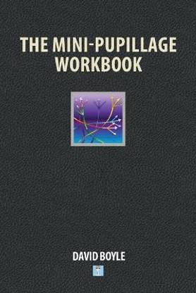 The Mini-Pupillage Workbook