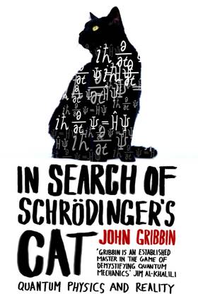 In Search Of Schrodinger's Cat