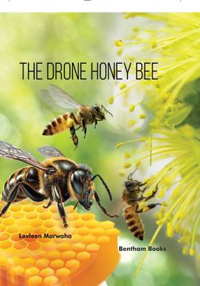 The Drone Honey Bee