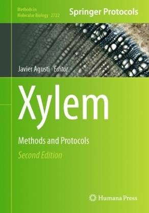 Xylem