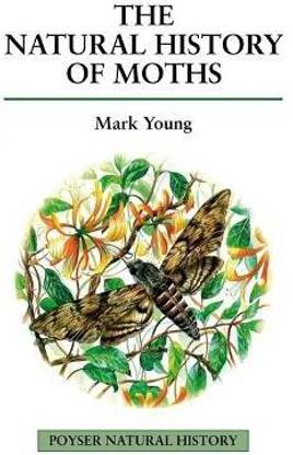 The Natural History of Moths