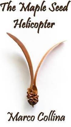 The Maple Seed Helicopter
