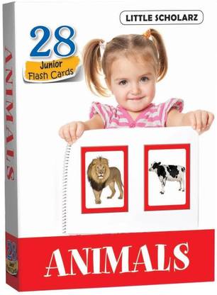Flash Cards - ANIMALS