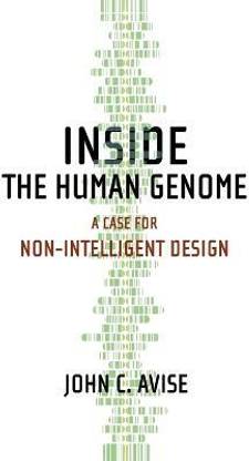Inside the Human Genome