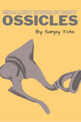 OSSICLES  - Smallest bones of body