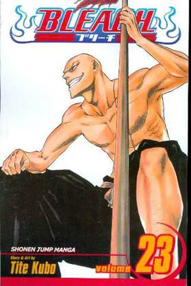 Bleach, Vol. 23: Volume 23