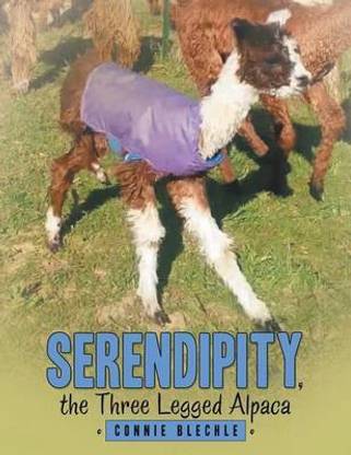 Serendipity, the Three Legged Alpaca
