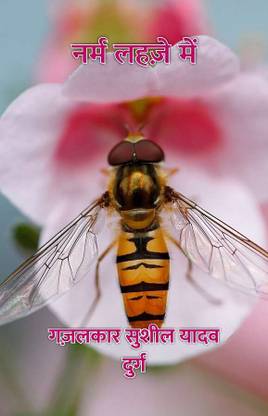 नर्म लहज़े में