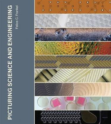 Picturing Science and Engineering