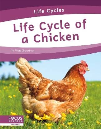 Life Cycles: Life Cycle of a Chicken