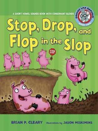 Stop, Drop, and Flop in the Slop  - Understanding, Designing and Implementing Competency Models in Organizations
