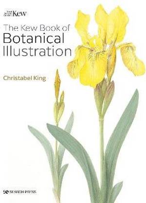 The Kew Book of Botanical Illustration (paperback edition)