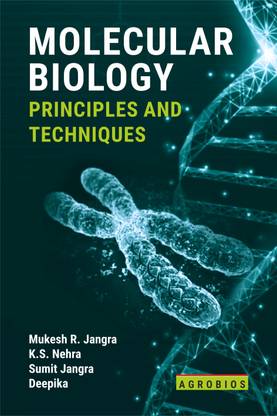 Molecular Biology: Principles And Techniques