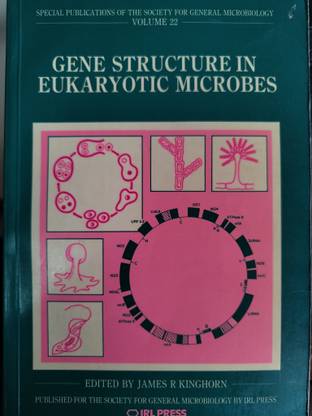 Gene Structure in Eukaryotic Microbes
