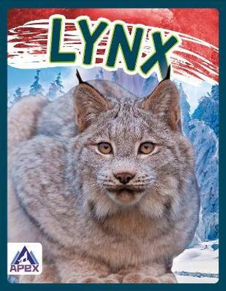 Wild Cats: Lynx