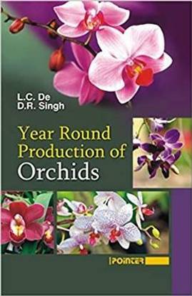 Year Round Productions of Orchids