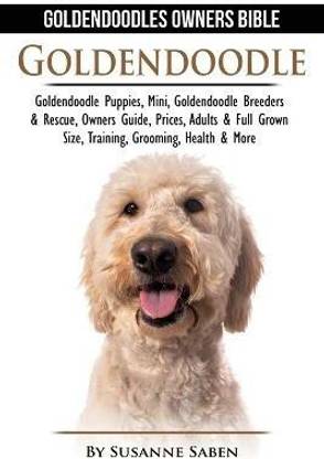 Goldendoodle