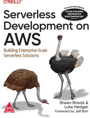 Serverless Development on AWS: Building Enterprise-Scale Serverless Solutions (Grayscale Indian Edition)