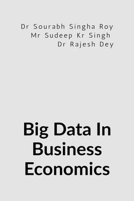 Big Data in Business Economics