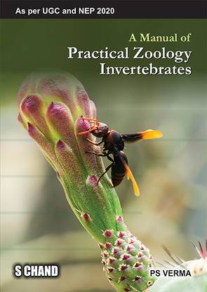 A Manual of Practical Zoology: Chordates
