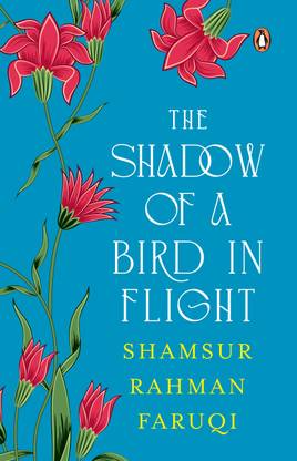 The Shadow of A Bird in Flight