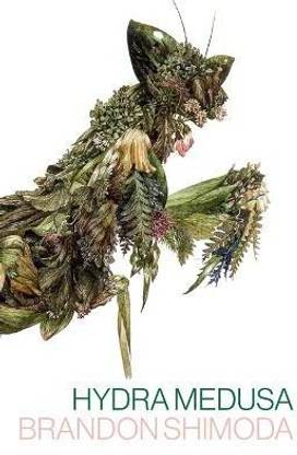Hydra Medusa